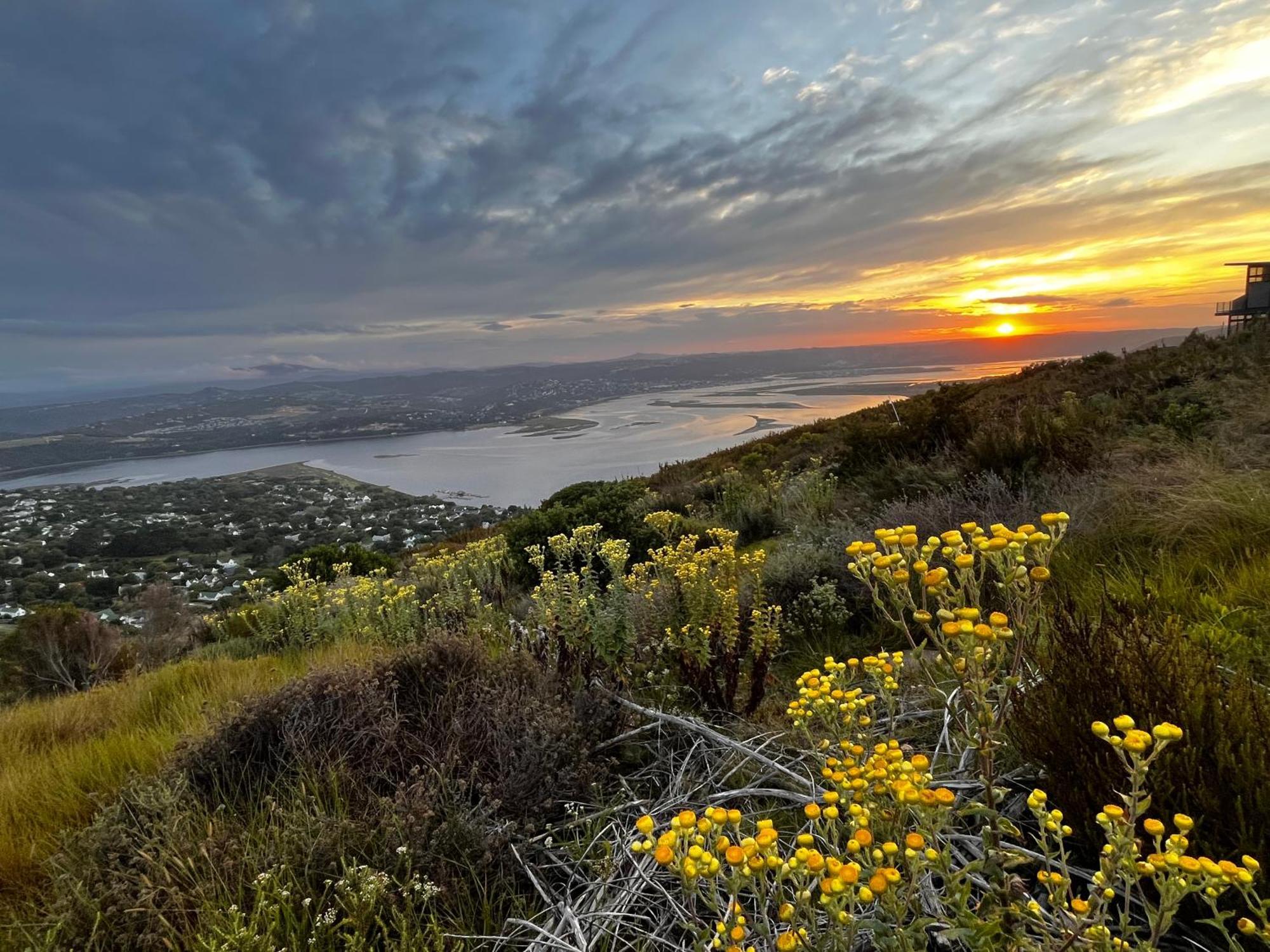 Die Uitzicht Guesthouse - Knysna Dış mekan fotoğraf